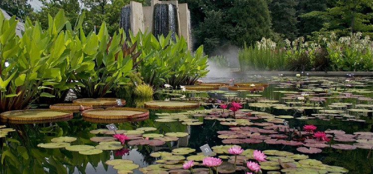 Denver Botanic Gardens: A Horticultural Oasis in the Mile High City